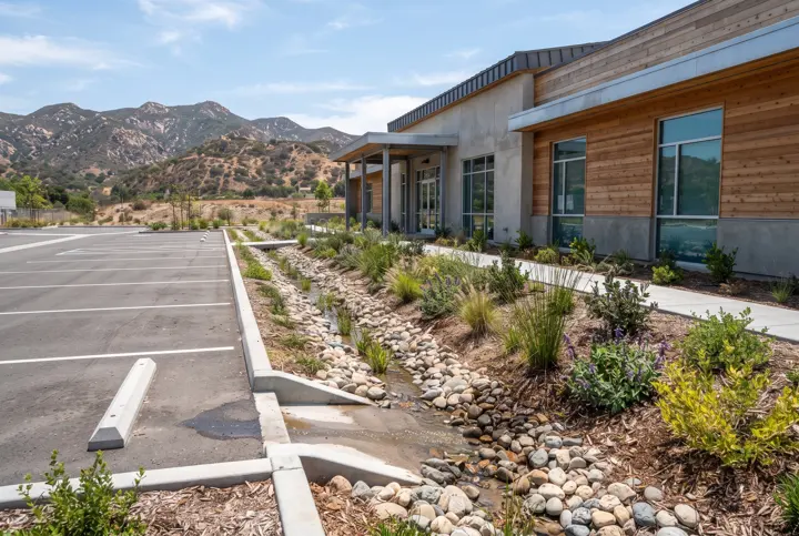 A landscaped bioswale beside a parking lot